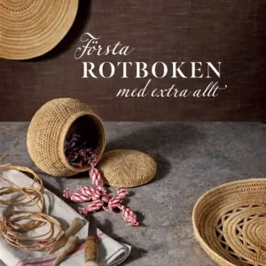 FÖRSTA ROTBOKEN med extra allt (e-bok) av Gunilla Axelsson