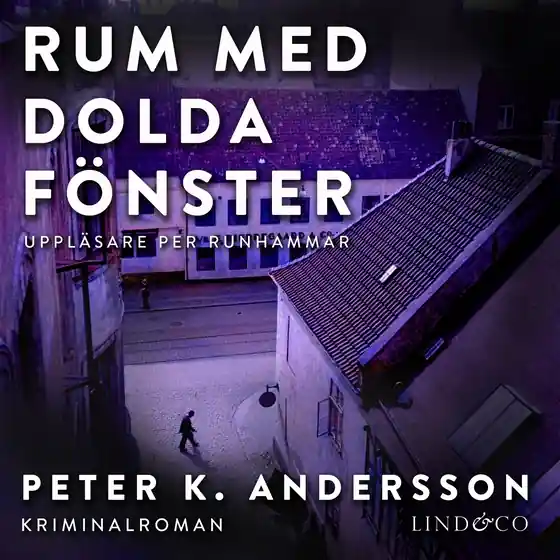 Rum med dolda fönster (ljudbok) av Peter K. Andersson