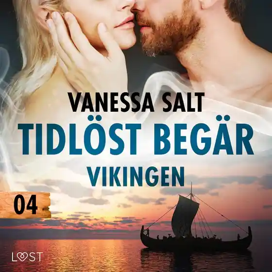 Tidlöst begär 4: Vikingen - erotisk novell (ljudbok) av Vanessa Salt