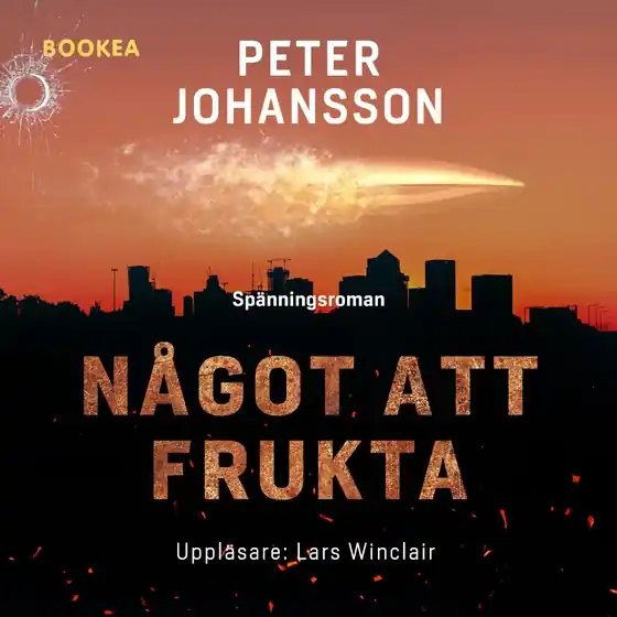 Något att frukta (ljudbok) av Peter Johansson