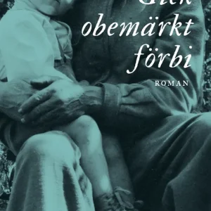 Gick obemärkt förbi (e-bok) av Ingrid Hedström