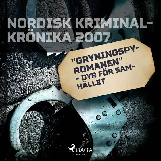 'Gryningspyromanen' – dyr för samhället (ljudbok) av Diverse