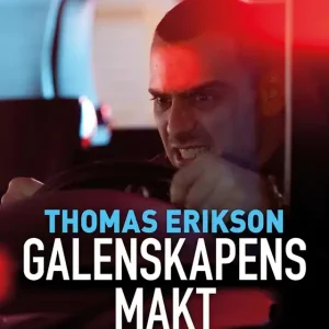 Galenskapens makt (e-bok) av Thomas Erikson