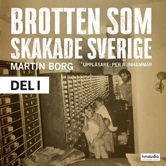 Brotten som skakade Sverige, del 1 (ljudbok) av Martin Borg