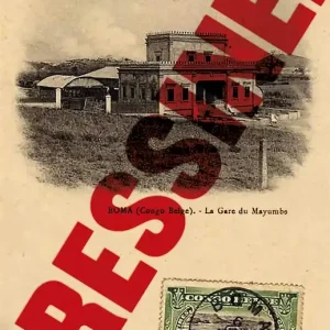 Dressinen (e-bok) av Carl-Henning Wijkmark
