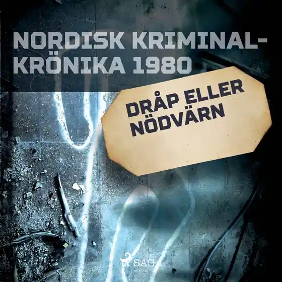 Dråp eller nödvärn (ljudbok) av Diverse