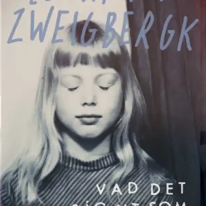 Vad det såg ut som (e-bok) av Helena von Zweigbergk