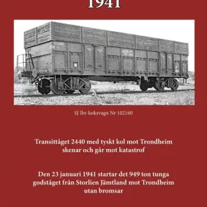 Meråkerolyckan - 1941 (e-bok) av Rolf Eriksson