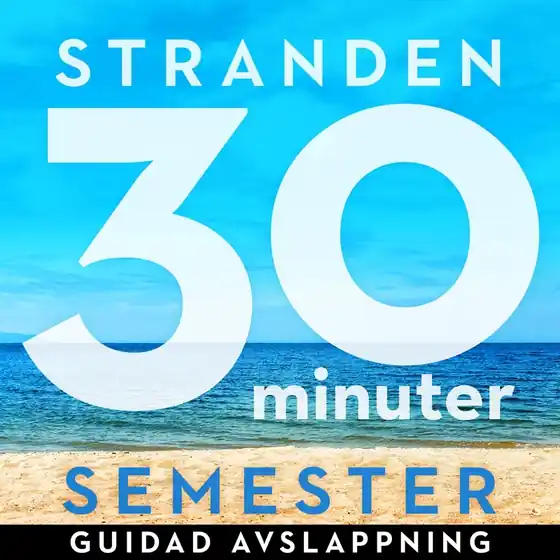 30 minuter semester- STRANDEN (ljudbok) av Ola Ringdahl