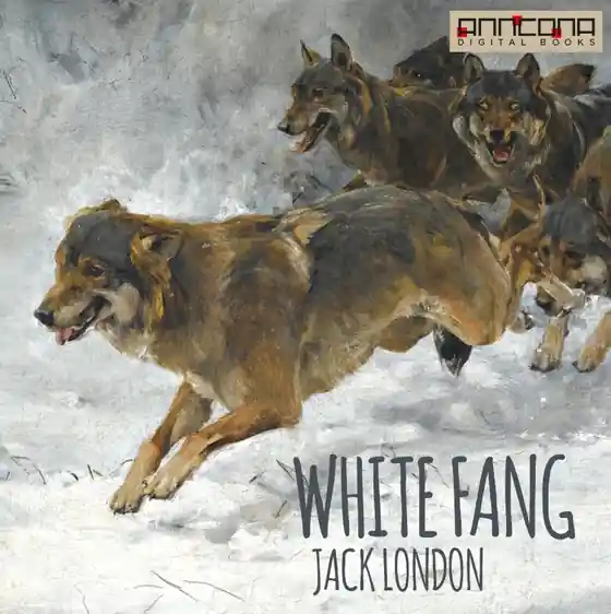 White Fang (ljudbok) av Jack London - Begagnad bok