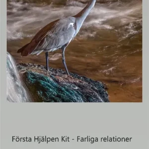 Första hjälpen kit - Farliga relationer (e-bok) av Saga Larsson