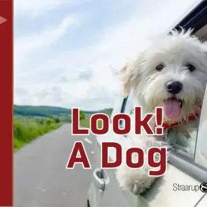 Look! A Dog (e-bok) av Marianne Randel Søndergaard