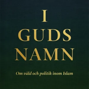 I Guds namn (e-bok) av Eli Göndör