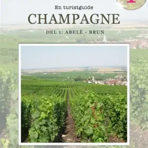 Champagne, en turistguide - del 1 (e-bok) av Staffan Sölve