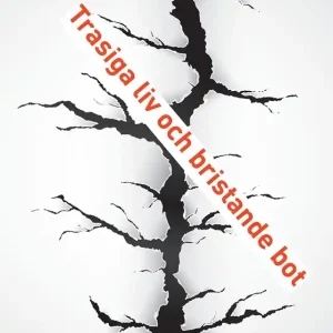 Trasiga liv och bristande bot (e-bok) av Juha Snellman