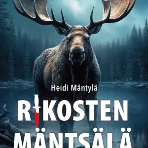 Rikosten Mäntsälä (e-bok) av Heidi Mäntylä