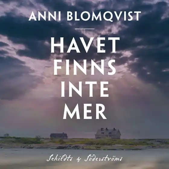 Havet finns inte mer (ljudbok) av Anni Blomqvist risnedsättning