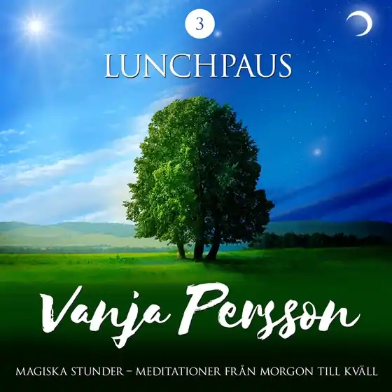 Meditation – Lunchpaus (ljudbok) av Vanja Persson