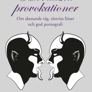 Moraliska provokationer : Om skenande tåg, tiggeriförbud och god pornografi (e-bok) av Marcus Agnafors