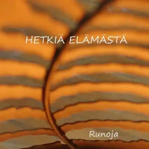 Hetkiä elämästä (e-bok) av Juha Vepsäläinen