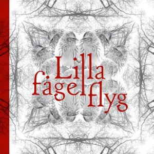 Lilla fågel flyg (e-bok) av Elliot Ellen Kellman - Begagnad bok