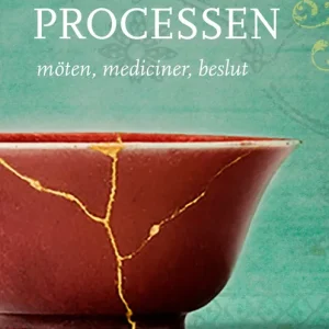 Processen : Möten, mediciner, beslut (e-bok) av Åsa Nilsonne