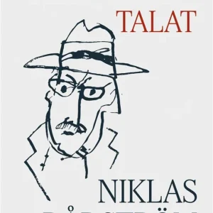 Allvarligt talat (e-bok) av Niklas Rådström