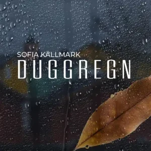 Duggregn : för det som känns (e-bok) av Sofia Källmark