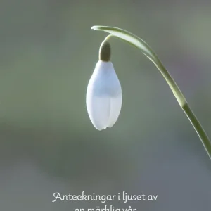 Närbilder : Anteckningar i ljuset av en märklig vår (e-bok) av Anna Kåver