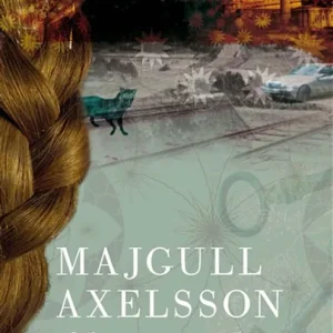Slumpvandring (e-bok) av Majgull Axelsson