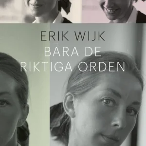 Bara de riktiga orden (e-bok) av Erik Wijk