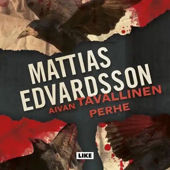Aivan tavallinen perhe (ljudbok) av Mattias Edvardsson