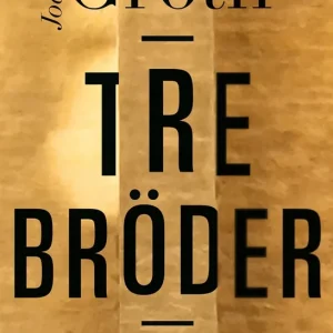 Tre bröder (e-bok) av Joakim Groth