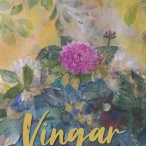 Vingar (e-bok) av Wenche Skjöndal