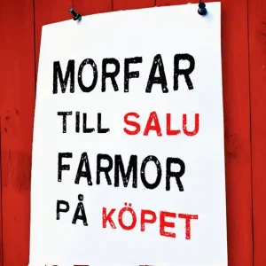 Morfar till salu, farmor på köpet (e-bok) av Håkan Jaensson