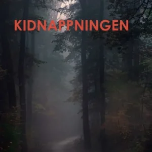 Kidnappningen (e-bok) av Jenny Blomgren