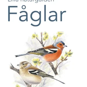 Lilla naturguiden: fåglar (e-bok) av -