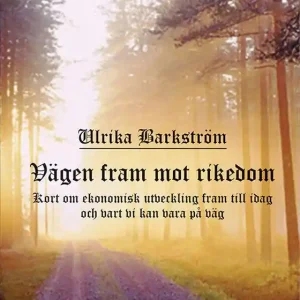 Vägen fram mot rikedom (e-bok) av Ulrika Barkström