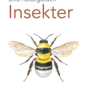 Lilla naturguiden: insekter (e-bok) av -
